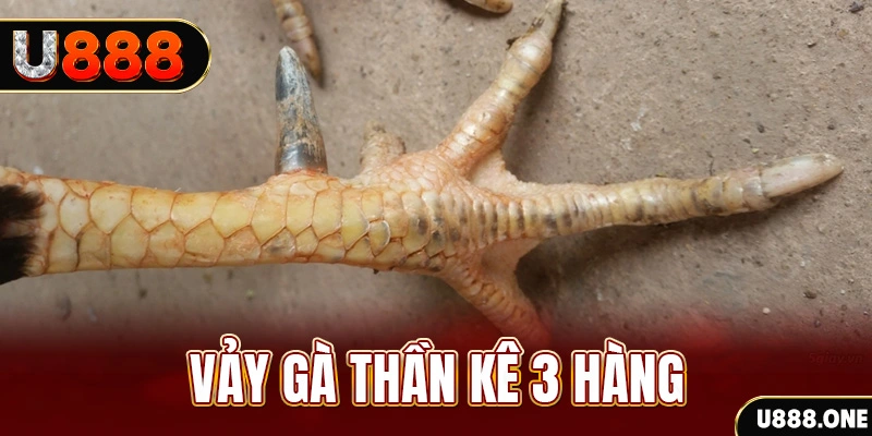 mb88 nổ hũ đổi thưởng . ai