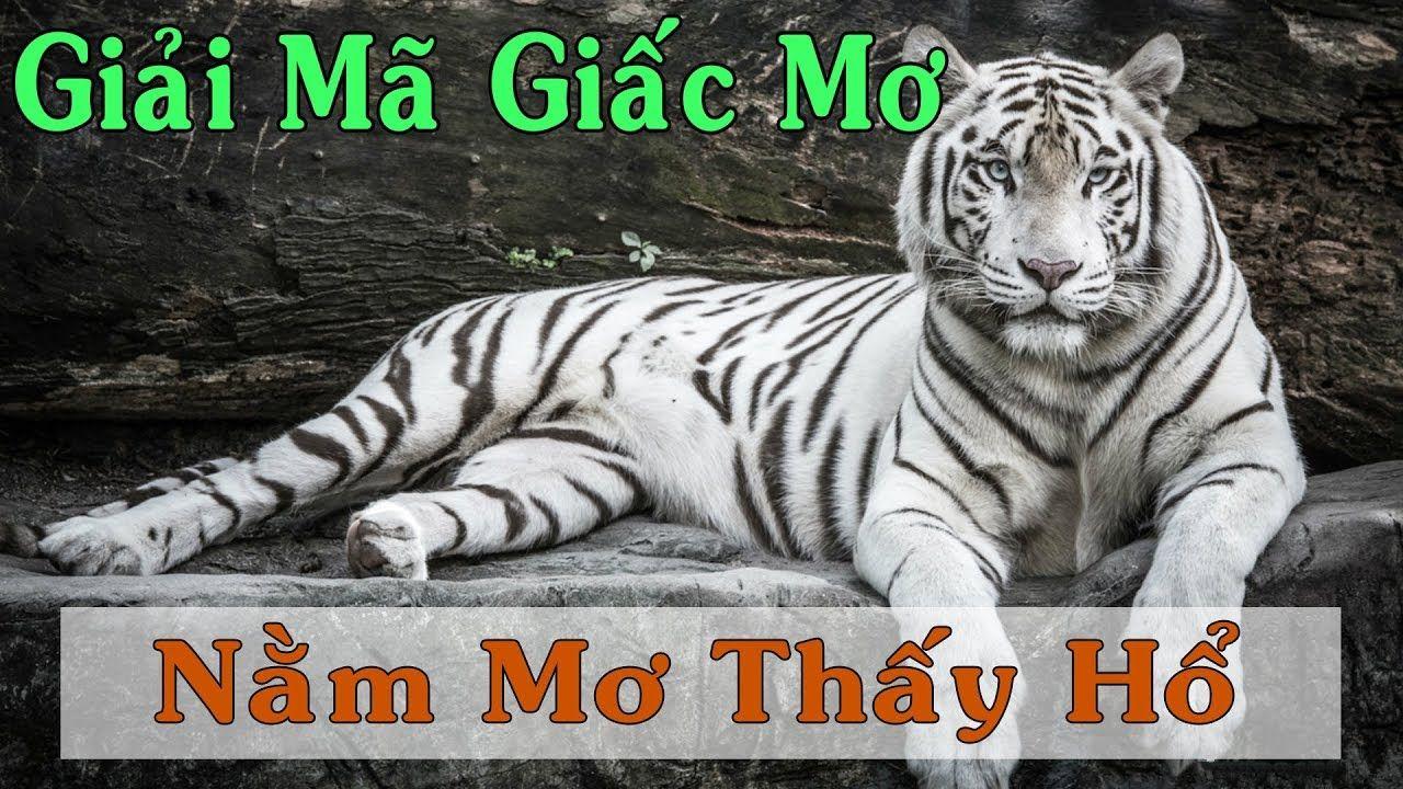 mb88 xổ số miền trung