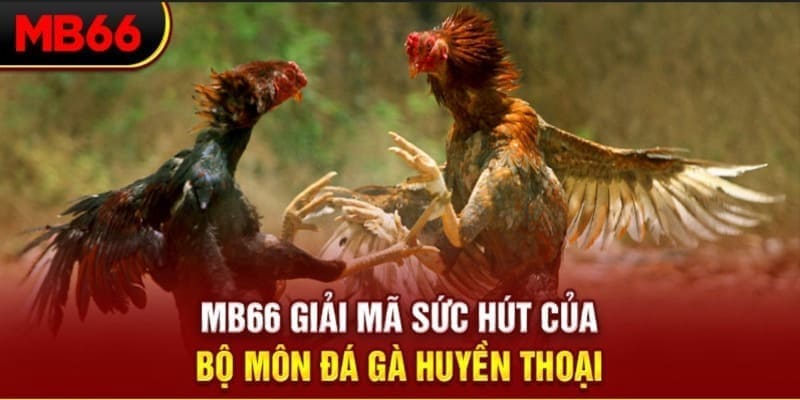mb88 long bảo trong baccarat là gì