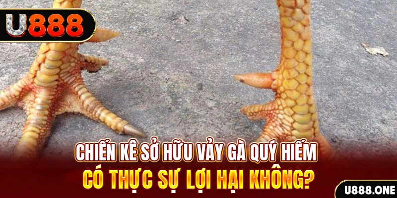 mb88 game cá cược máy bay