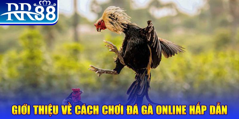 mb88 nổ hũ 2 mặt là gì