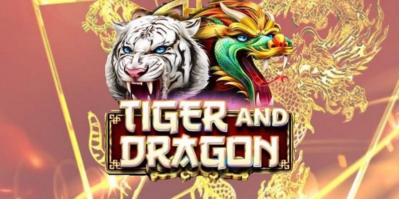 mb88 cá cược tiếng anh là gì