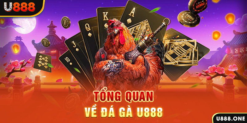 mb88 what is casino bonus wagering